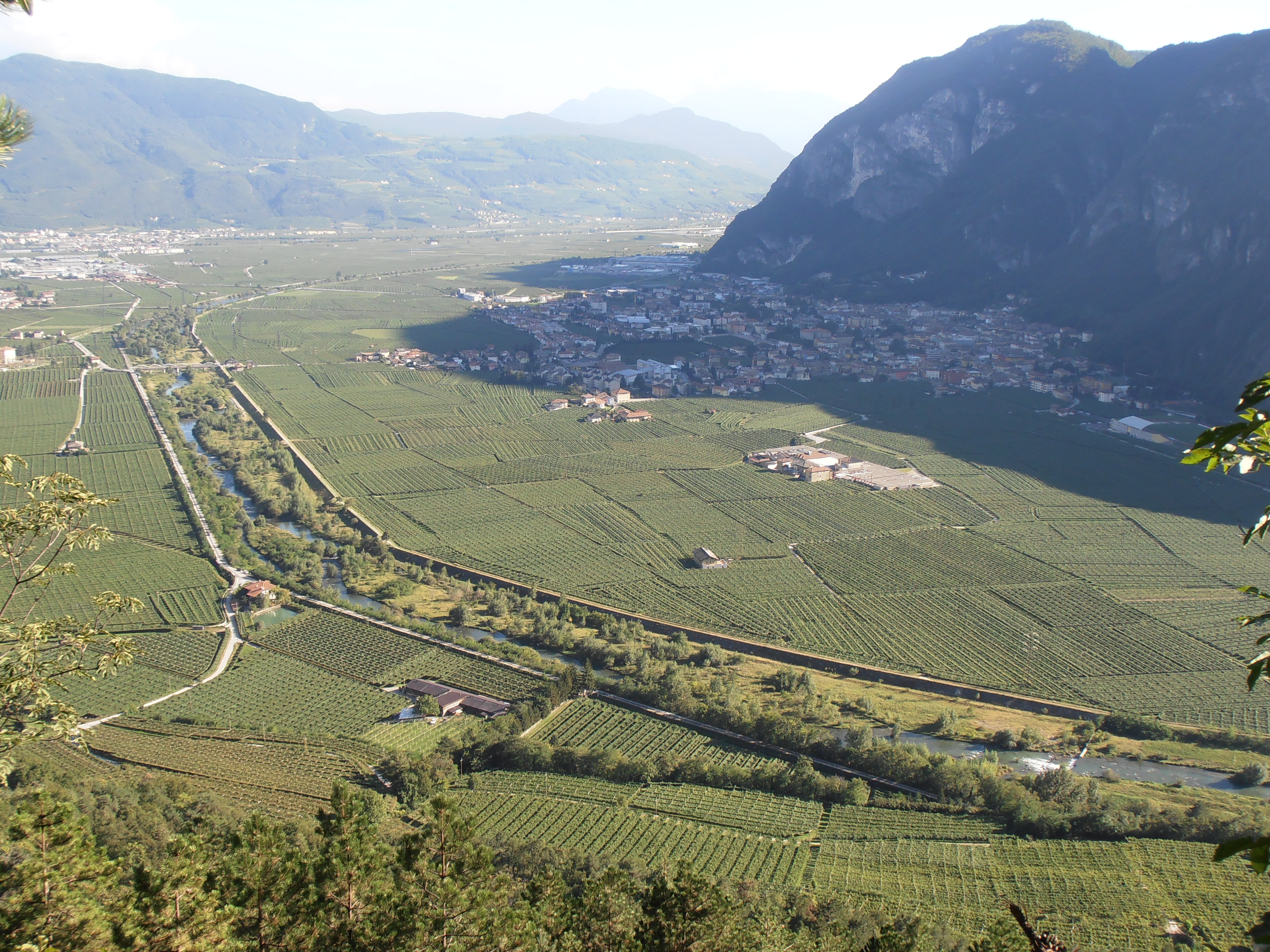 vista piana rotaliana